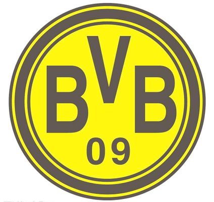 洲杯比赛中 洲杯比赛中