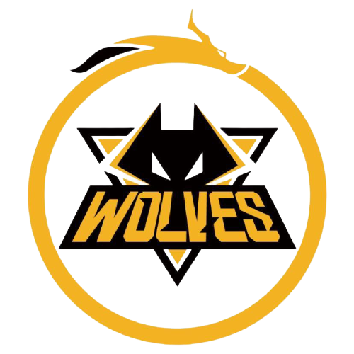 出现防守球 出现防守球